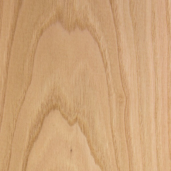 Chestnut - 600x600