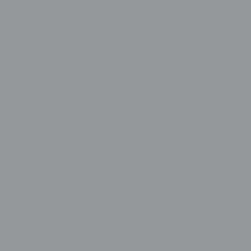 RAL 7004 Signal grey
