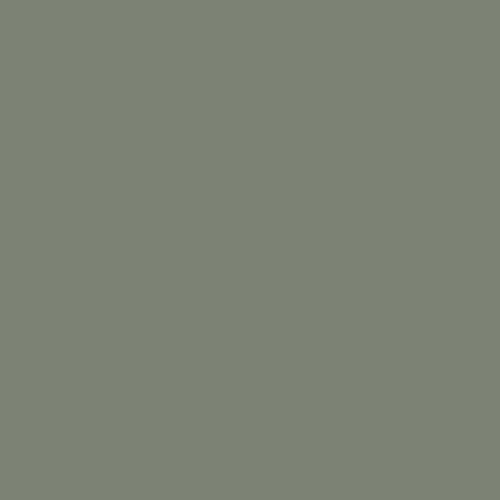 RAL 7033 Cement grey