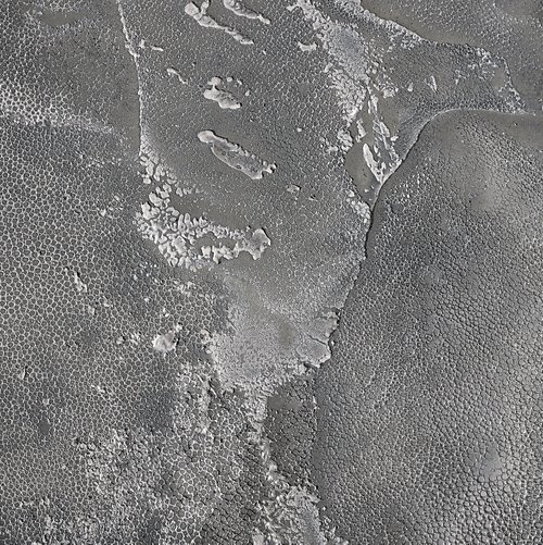 Ragged Shagreen Pewter